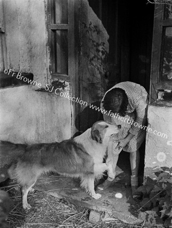 LADY FEEDING DOG